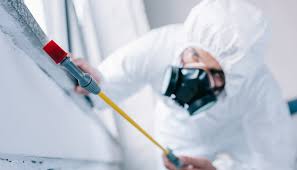 Best Real Estate Pest Inspections  in Westminster, CO